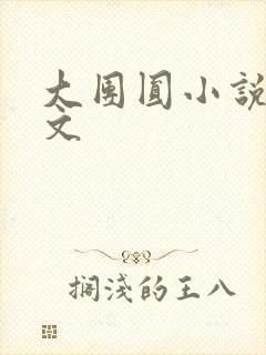 大团圆小说集全文