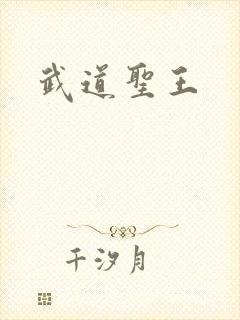 武道圣王
