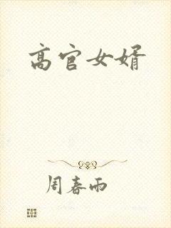 高官女婿