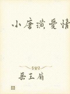 小唐璜爱情历史