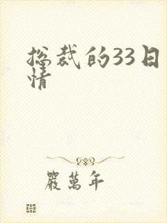 总裁的33日索情