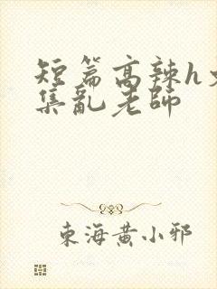 短篇高辣h文合集乱老师