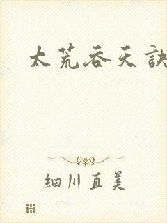 太荒吞天诀小说