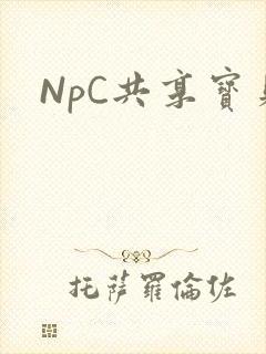 NpC共享宝贝