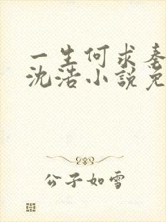 一生何求秦菲雪沈浩小说免费阅读全文