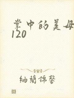 掌中的美母版主120