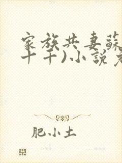 家族共妻苏苏(十千)小说免费