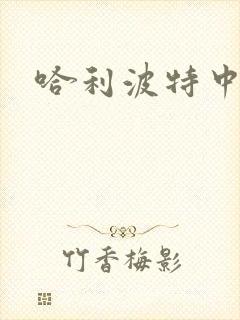 哈利波特中文版