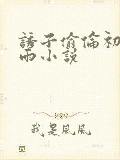 诱子偷伦初尝云雨小说