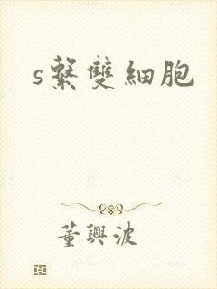 s系双细胞