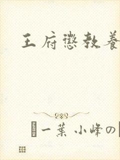 王府惩教养日常