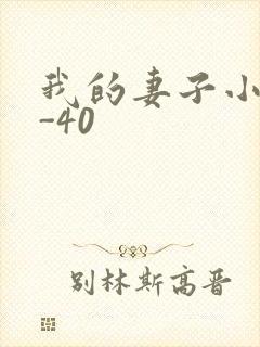 我的妻子小谨1-40