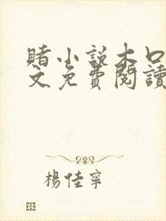 赌小说木口银全文免费阅读笔趣阁