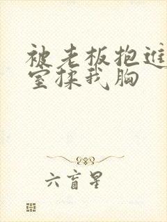 被老板抱进办公室揉我胸