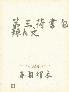 第三荷书包网高辣h文
