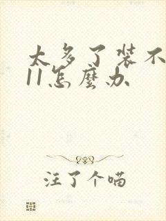 太多了装不下h11怎么办