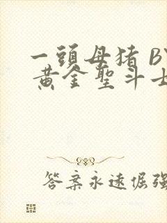 一头母猪 BY 黄金圣斗士