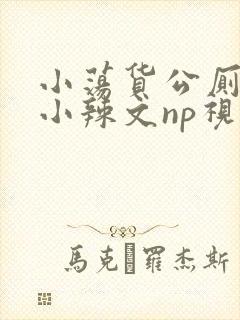 小荡货公厕h文小辣文np视频