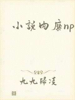 小说肉糜np