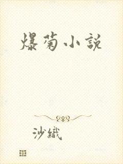 爆菊小说