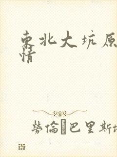 东北大坑原始激情