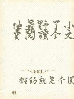 他最野了小说免费阅读全文