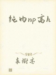 纯肉np高h