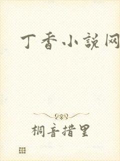 丁香小说网
