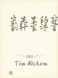 宋先生的宠妻计划轩家沐言