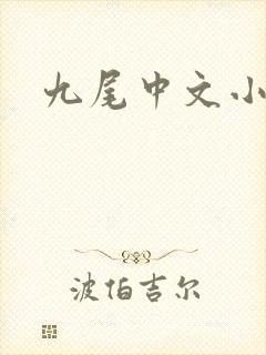 九尾中文小说网