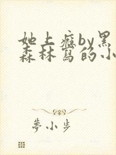 她上瘾by黑暗森林写的小说免费阅读无弹窗