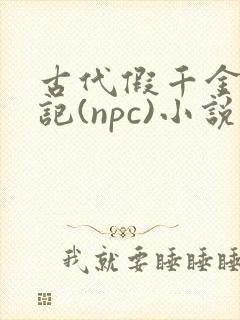 古代假千金挨日记(npc)小说