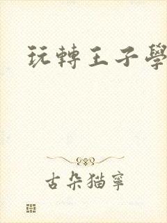 玩转王子学院