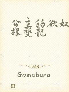 公主的欲奴h四根双龙