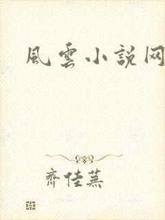 风云小说网