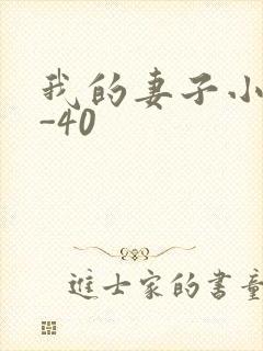 我的妻子小谨1-40