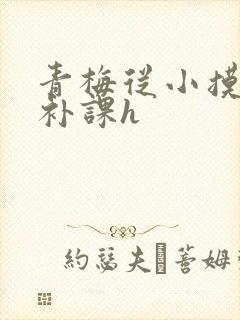 青梅从小摸到大补课h