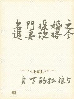 名门暖婚之权爷追妻攻略全文免费阅读