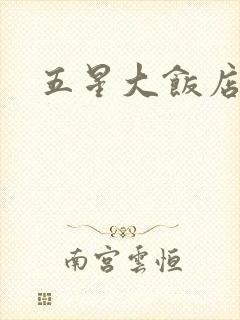 五星大饭店小说