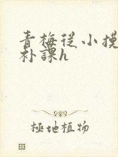 青梅从小摸到大补课h