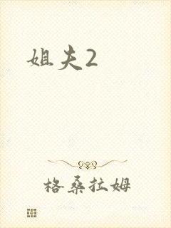 姐夫2