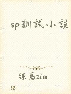 sp训诫小说