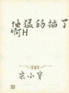 他猛的插了进去啊H