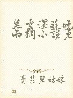 慕云泽苏晚晴夏雨桐小说免费阅读