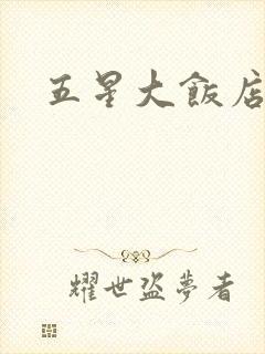 五星大饭店小说