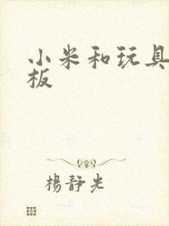 小米和玩具店老板