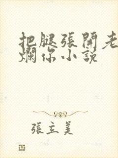 把腿张开老子臊烂你小说