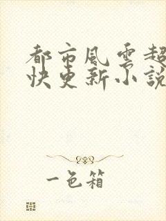都市风云超前超快更新小说