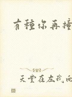 有种你再撞一下