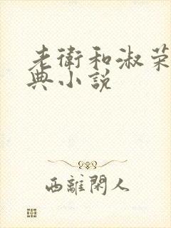 老卫和淑荣的经典小说